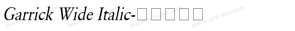 Garrick Wide Italic字体转换